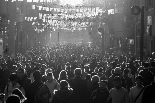 Étiquette miel et pot : sublimez votre trésor doré