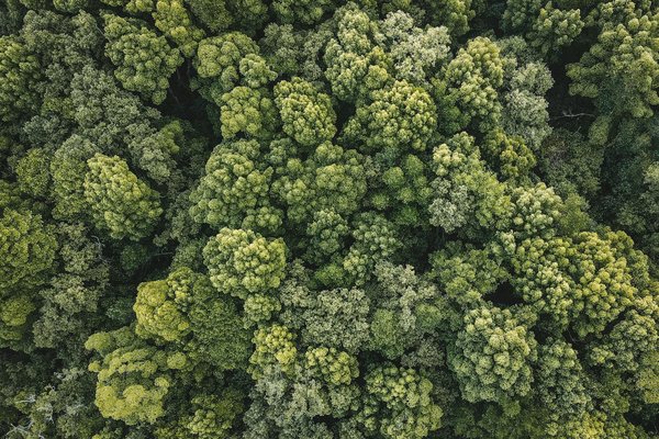 Découvrez quel sextoy faut-il utiliser avec sa copine